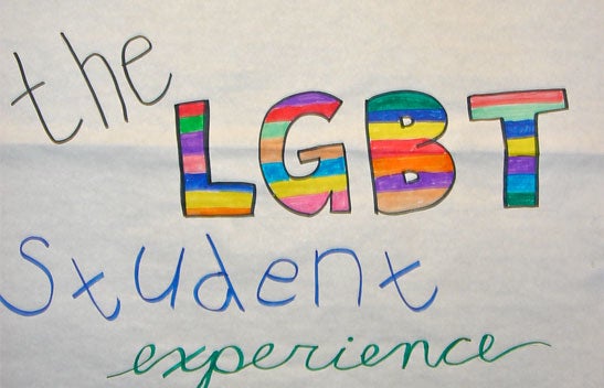 The LGBT Student Experience